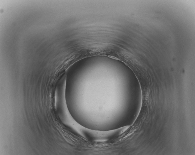 X0000073710868200608101836