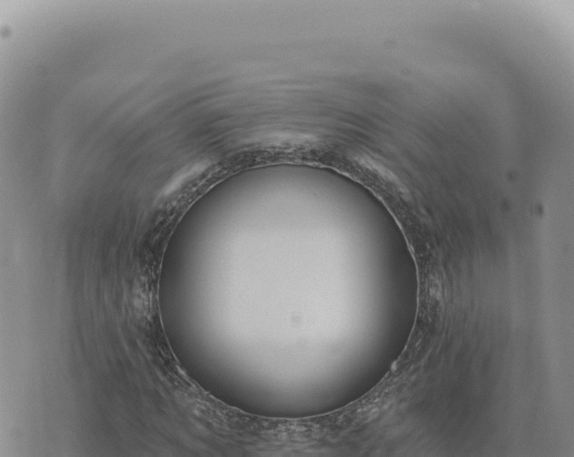 X0000073710869200608101836