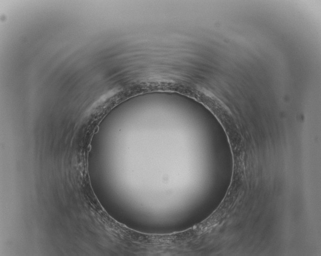 X0000073710870200608101836