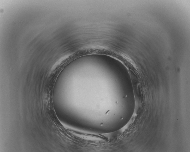 X0000073710872200608101836