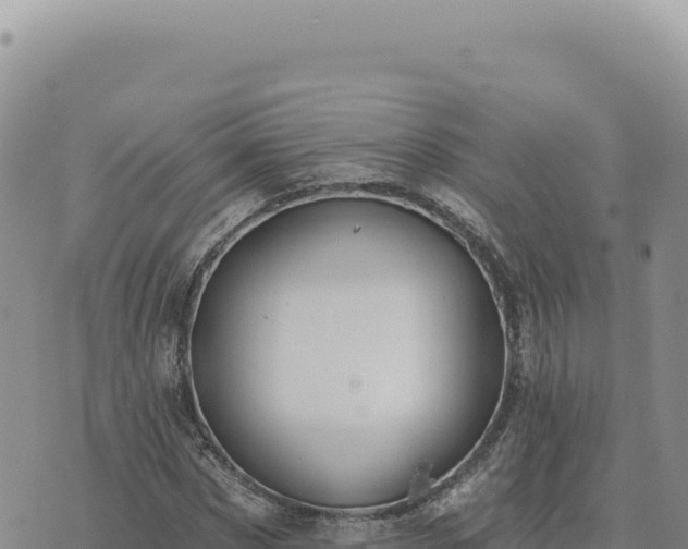 X0000073710873200608101836