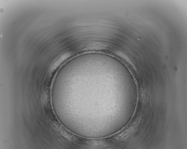 X0000073710874200608101836