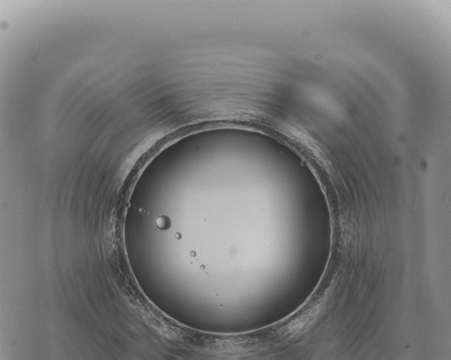 X0000073710875200608101836