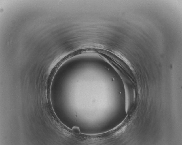 X0000073710877200608101836