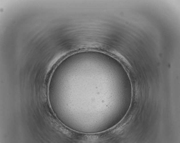 X0000073710878200608101836