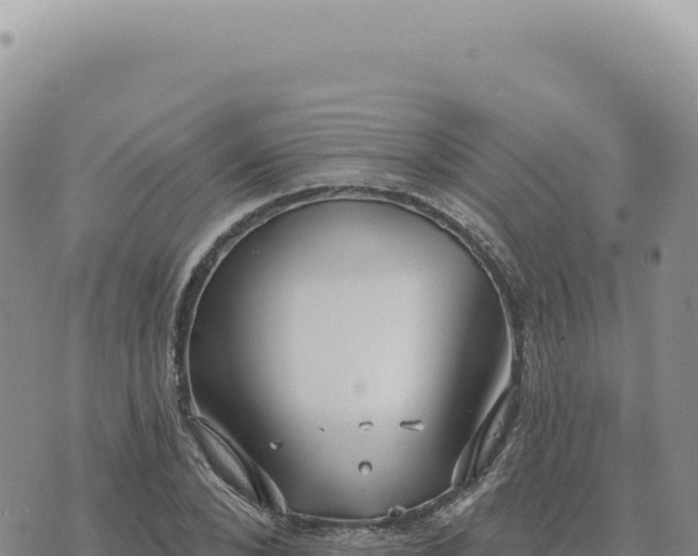 X0000073710880200608101836