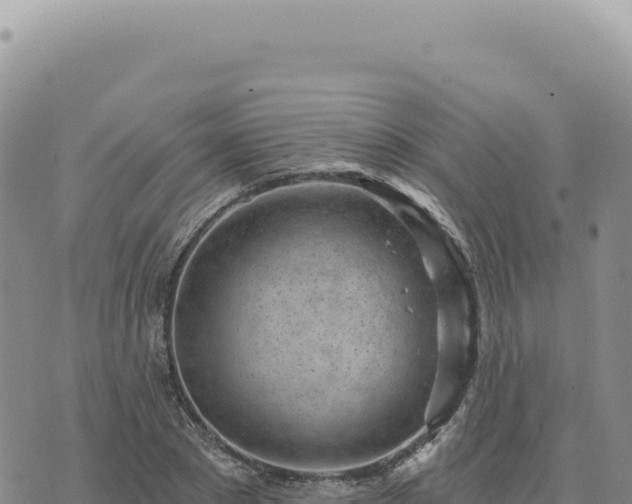 X0000073710881200608101836