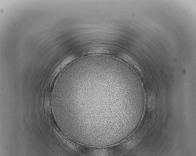 X0000073710882200608101836