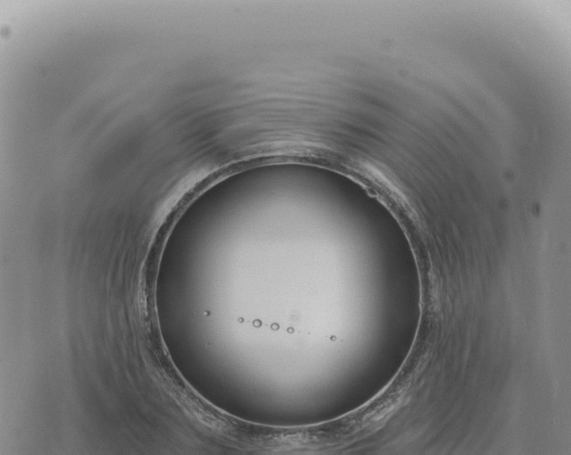 X0000073710883200608101836