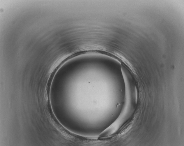 X0000073710885200608101836