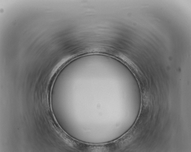 X0000073710886200608101836