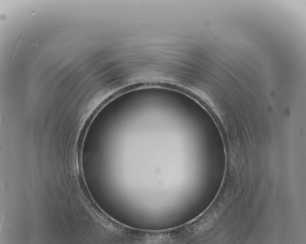 X0000073710887200608101836