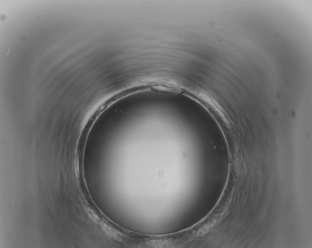 X0000073710888200608101836