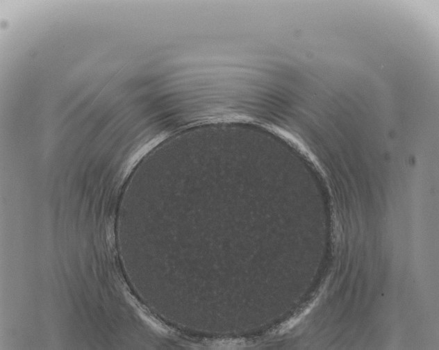 X0000073710889200608101836