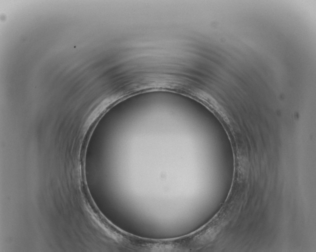 X0000073710890200608101836