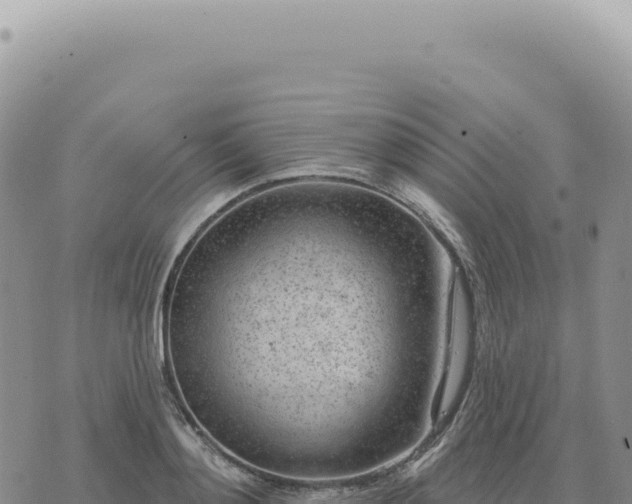 X0000073710892200608101836