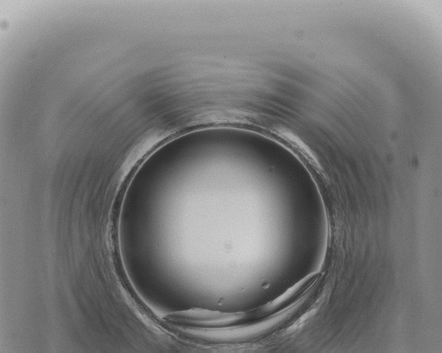 X0000073710893200608101836