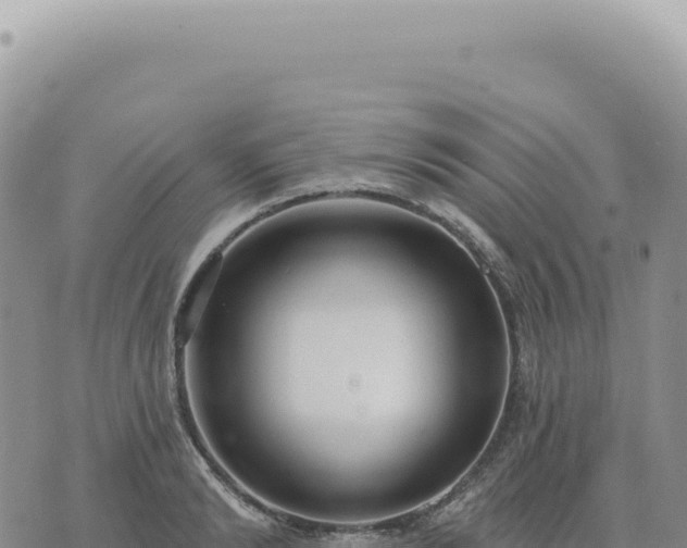 X0000073710894200608101836