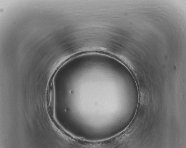 X0000073710895200608101836