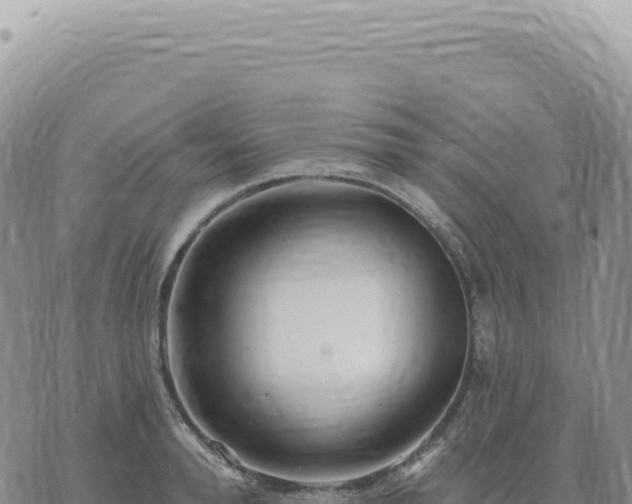 X0000073710896200608101836