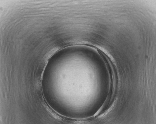 X0000073710897200608101836