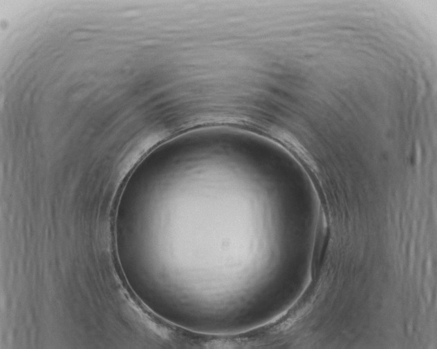 X0000073710898200608101836