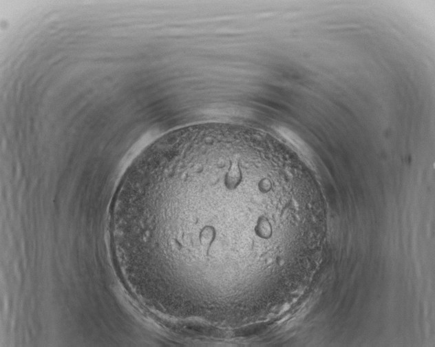 X0000073710899200608101836