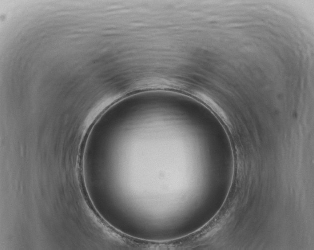 X0000073710901200608101836