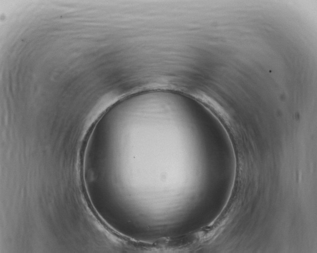 X0000073710902200608101836