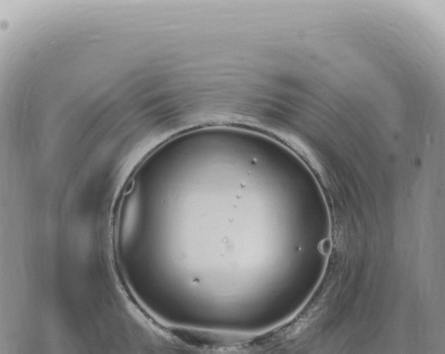 X0000073710903200608101836