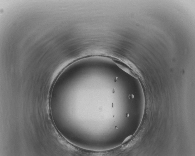 X0000073710904200608101836