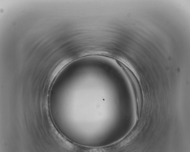 X0000073710906200608101836