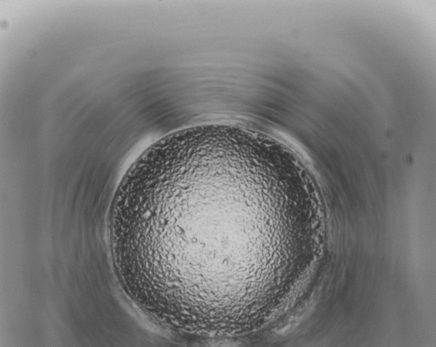 X0000073710907200608101836