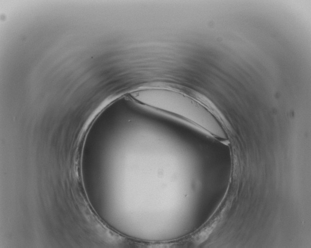 X0000073710908200608101836