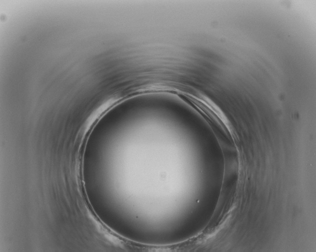 X0000073710909200608101836