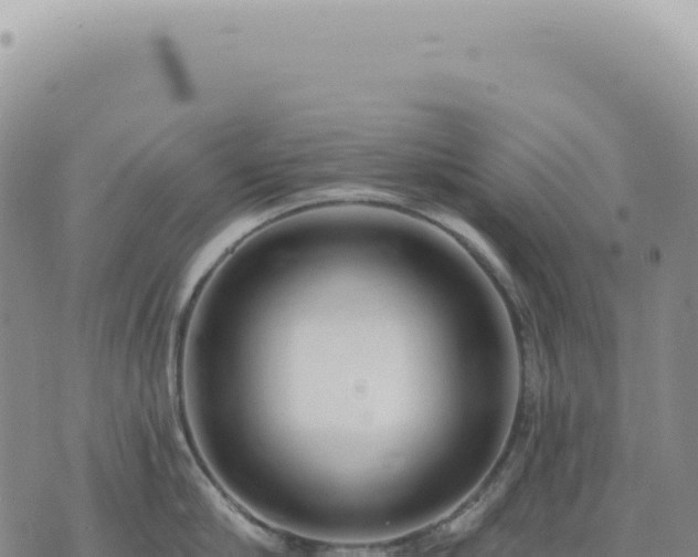 X0000073710910200608101836