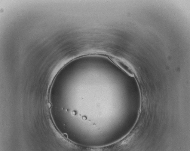 X0000073710911200608101836