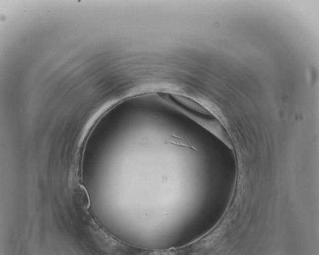 X0000073710912200608101836