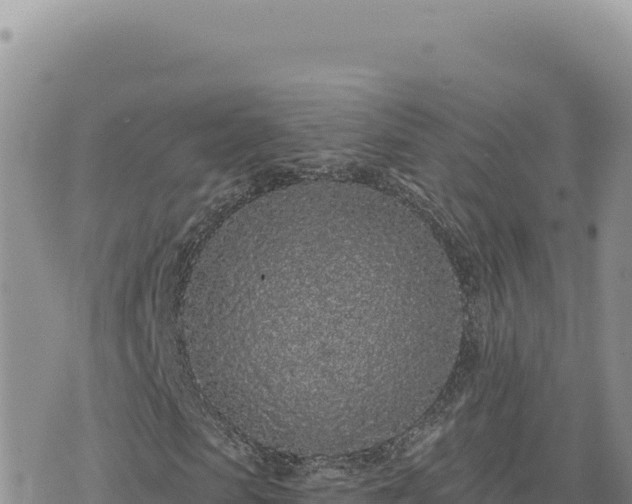 X0000073710913200608101835