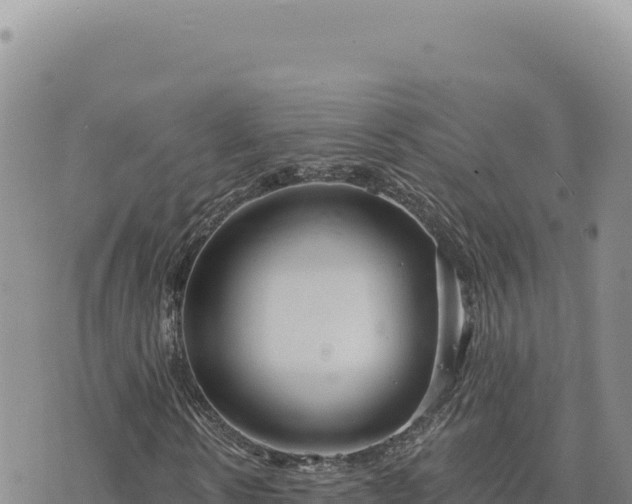 X0000073710914200608101835