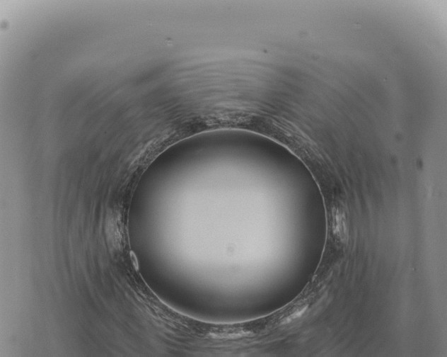 X0000073710915200608101835