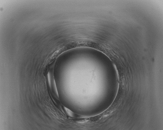 X0000073710916200608101835