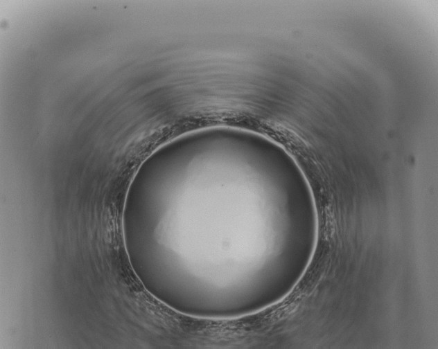 X0000073710917200608101835