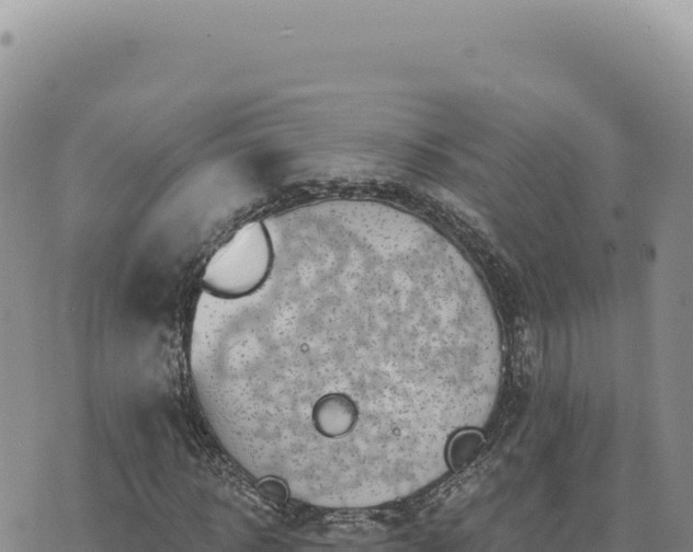 X0000073710918200608101835