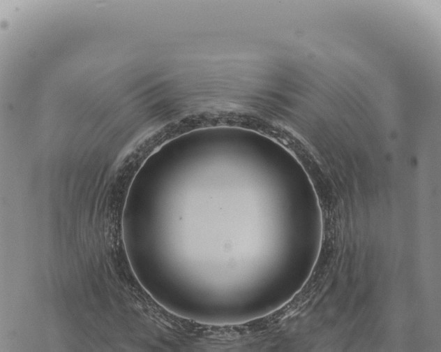 X0000073710919200608101835