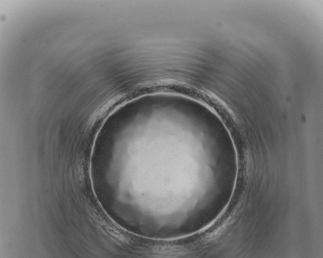 X0000073710921200608101835