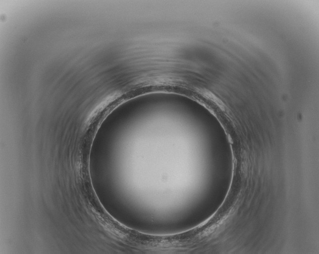 X0000073710922200608101835