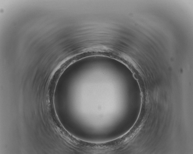 X0000073710923200608101835