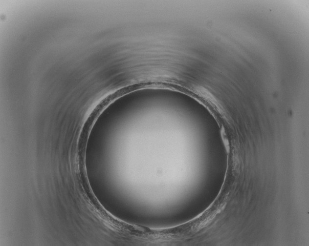 X0000073710924200608101835