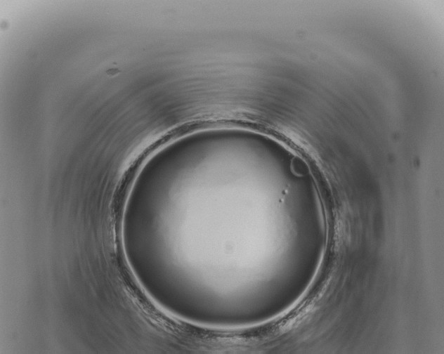 X0000073710925200608101835